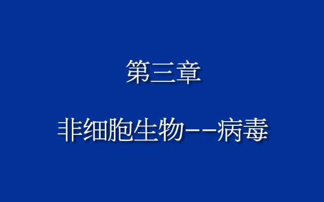 《食品微生物学》第三章 非细胞生物