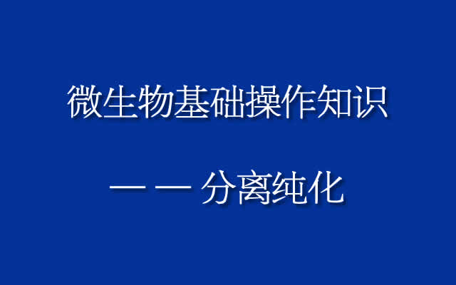 微生物基础操作知识——分离纯化