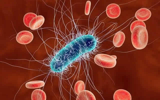 如何保护肠道菌群不被抗生素破坏？MIT科学家：用细菌拯救细菌！