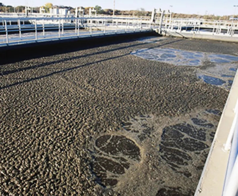 污水处理-生物处理法：污水处理微生物专用菌种的产品优点