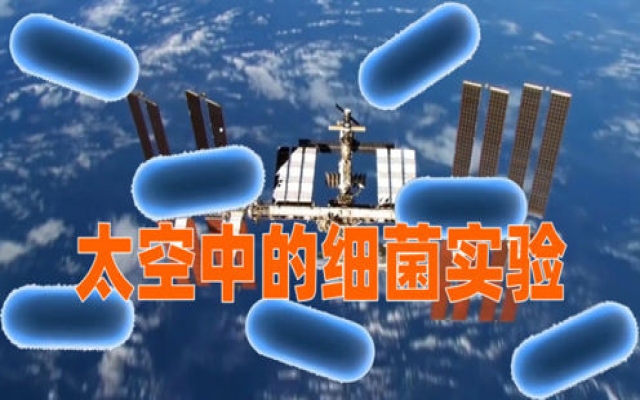 国际空间站上的“超级细菌”实验，对我们有什么用？