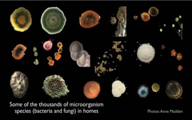 这十万种微生物与你共生 还可用来研发未来黑科技