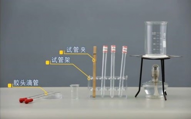 淀粉酶对淀粉和蔗糖水解的作用实验视频