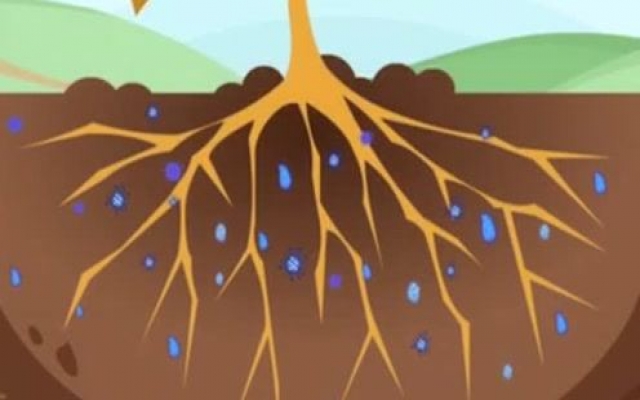 用三分钟的动画告诉你，土壤微生物和作物生长到底有什么关系！